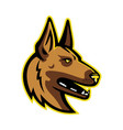 belgian malinois dog mascot vector image vector image