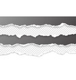 horizontal torn paper edge ripped squared vector image