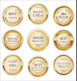 golden badges and labels with laurel wreath vector image