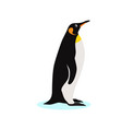 king penguin icon isolated on white background vector image