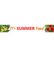 summer web banner vector image