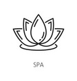 lotus flower water lily hotel service spa emblem vector image