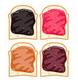 set of white toast bread slices with fruit jam vector image vector image
