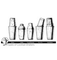 cocktail shakers types vector image vector image