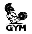 sign of a gym with a warrior vector image