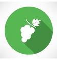 grapes icon vector image
