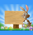 easter bunny rabbit background vector image vector image