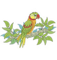 funny colorful parrot in a tropical jungle vector image