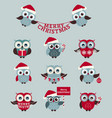 christmas owls set vector image