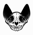 stylized monochrome patterned cat skull vector image vector image