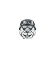 vintage cartoon dog on white background vector image vector image