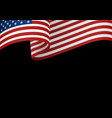 usa insignia on black vector image