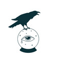 mystical witch ball with raven outline crystal vector image