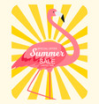 summer sale concept with colorful cartoon pink vector image