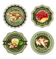 ginger products labels set vector image