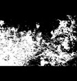 grunge overlay texture vector image