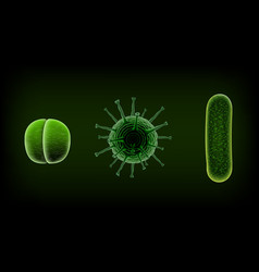 Common human virus or bacteria under a microscope Vector Image