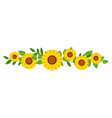 sunflower head for greeting card decorative vector image vector image