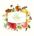 organic cosmetics banner vector image vector image