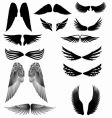 wings silhouette vector image