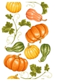 seamless border with pumpkins decorative ornament vector image