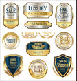 luxury retro badge and labels collection 2 vector image