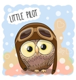 little owl pilot vector image