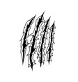 claws scratching background for poster t shirt vector image vector image