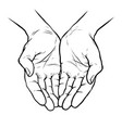 hands cupped together sketch vector image vector image