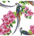 wild pheasant animals birds in watercolor floral vector image vector image
