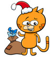 kitten on christmas time cartoon vector image