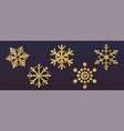 set christmas snowflakes different shapes vector image