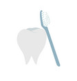 tooth and toothbrush with modern flat style vector image