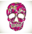 with hand drawn skull vector image