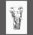 high detail drawn elephant drawing sketch vector image vector image