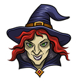 whitch vector image vector image