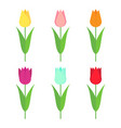 tulips set icon flowers collection isolated vector image