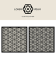 brand element and patterns vector image vector image