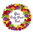 colorful wreath of fresh fruit vector image