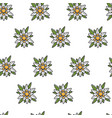 edelweiss wild flower austrian symbol seamless vector image