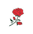 red rose flower icon vector image