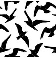 seamless pattern with black seagull bird vector image