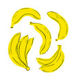 tropical set yellow fruits banana hand drawn vector image vector image