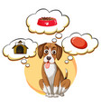 a dog thinking with many callouts vector image