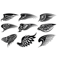 wings collection vector image