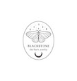 abstract moon butterfly logo with stars in frame vector image