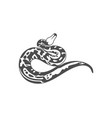 python snake logo animal graphic design vector image