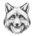 fox graphic sketch hand-drawn portrait vector image