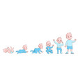baby growth process life cycle stages development vector image vector image