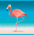 exotic pink flamingo walking on the hot summer vector image vector image